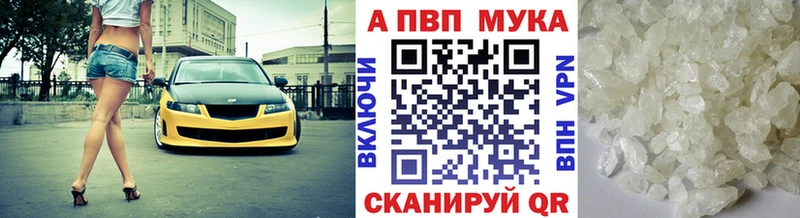 закладки  Томари  Alfa_PVP СК КРИС 