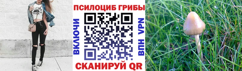 Псилоцибиновые грибы MAGIC MUSHROOMS  Томари 